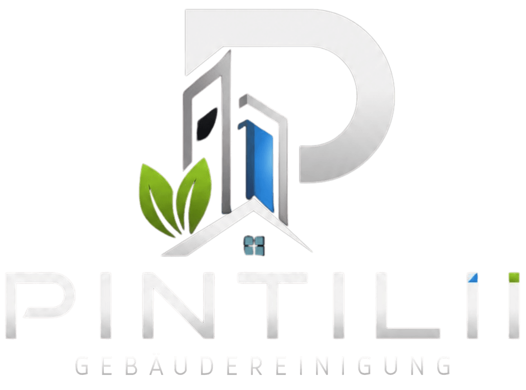 Pintilii Gebäudereinigung