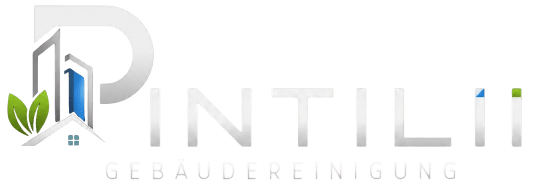 Pintilii Gebäudereinigung
