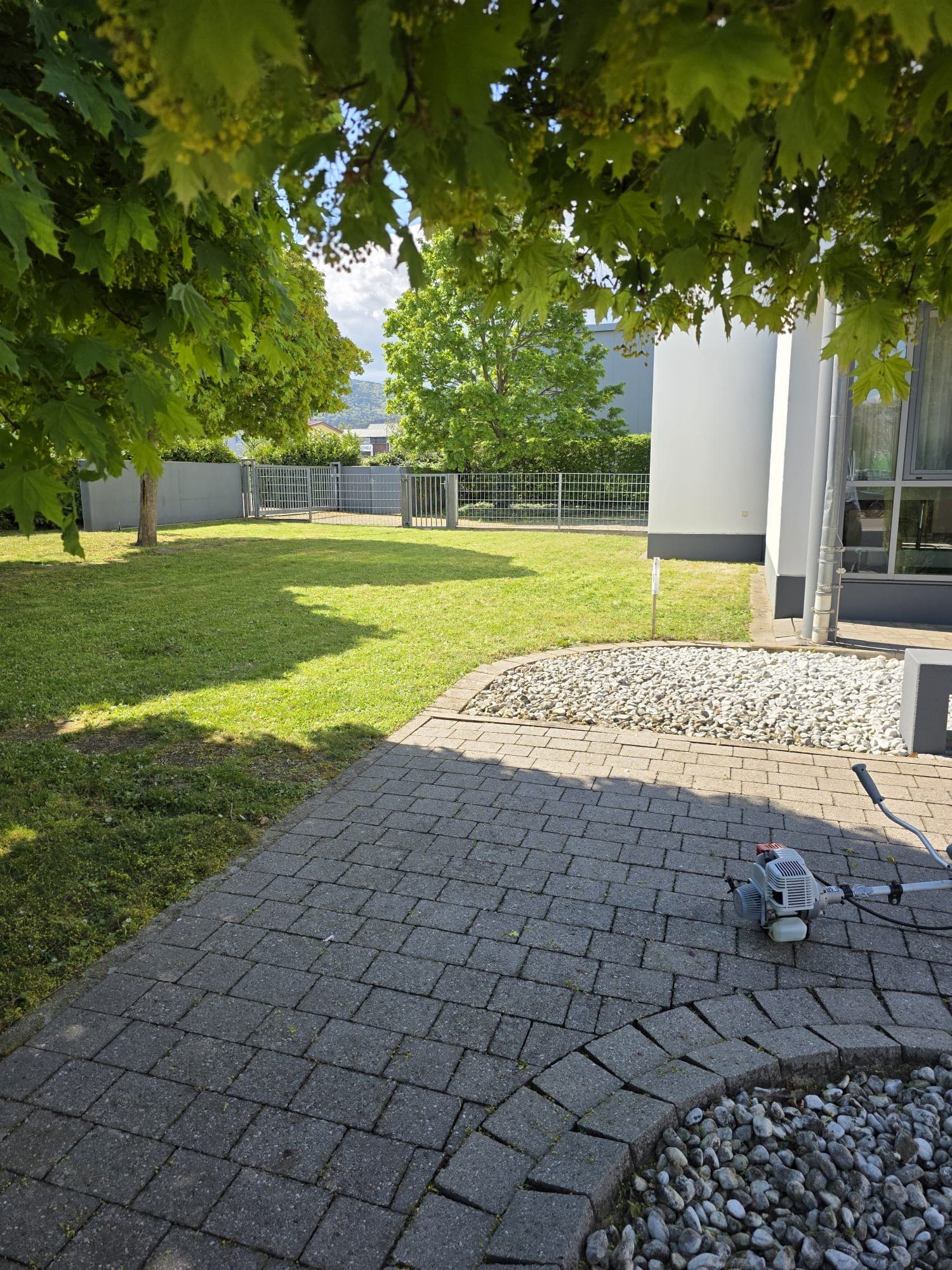 Rasen & Gartenanlage – vorher
