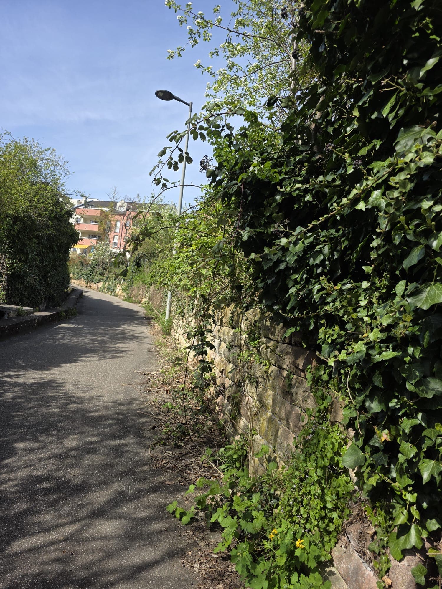Steinwand-Reinigung – nachher